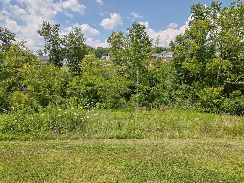 3608 Dorset Court, Covington, KY 41015 Photo 47