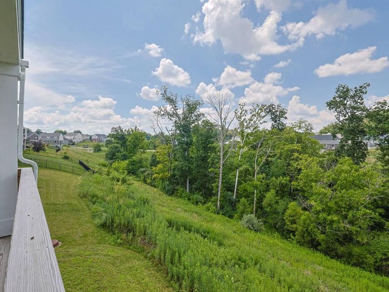 3608 Dorset Court, Covington, KY 41015 Photo 48