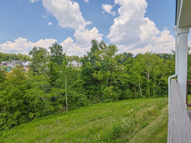 3608 Dorset Court, Covington, KY 41015 Photo 49