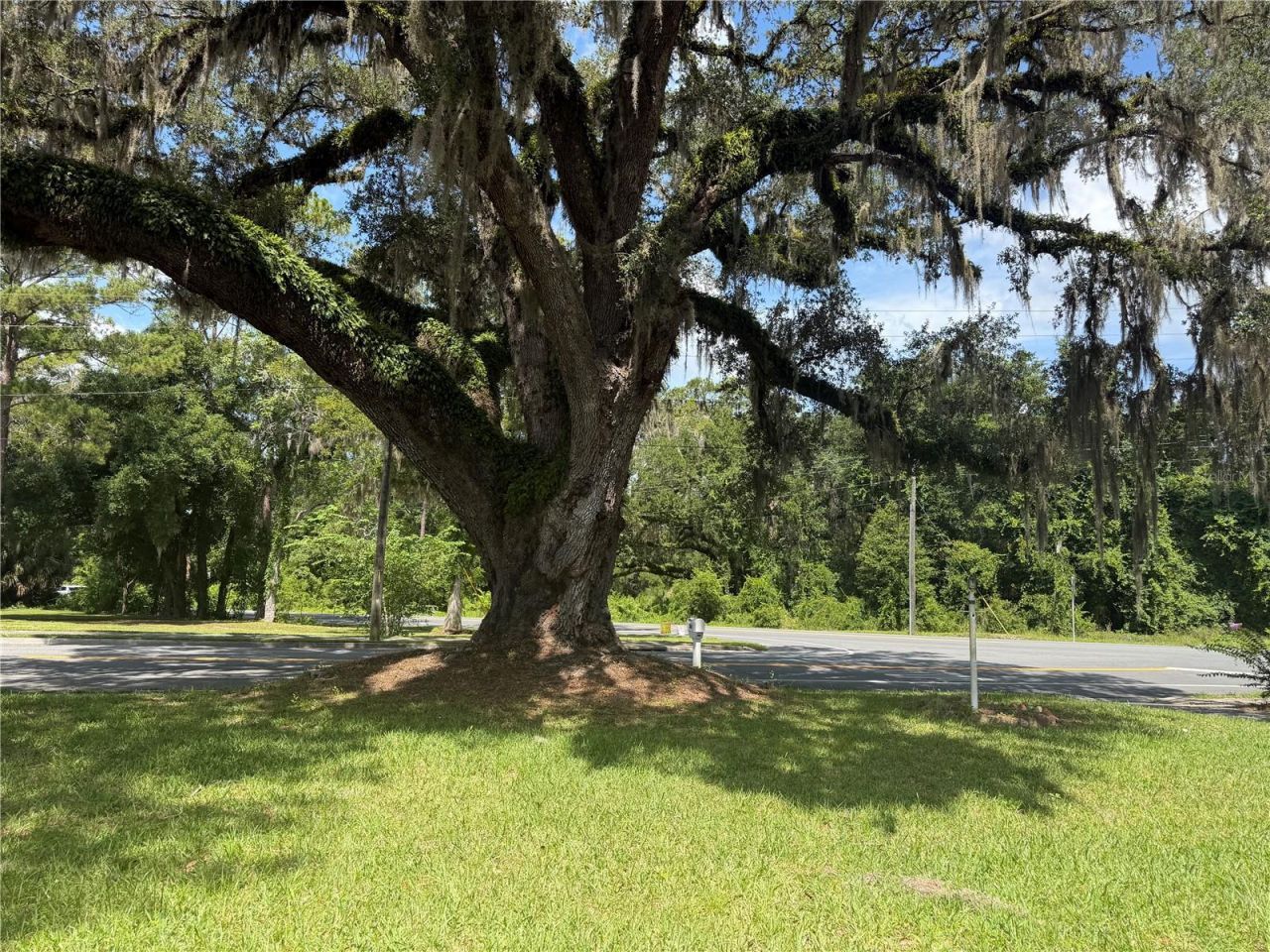 298 N Court Street , Bronson, FL 32621 Photo