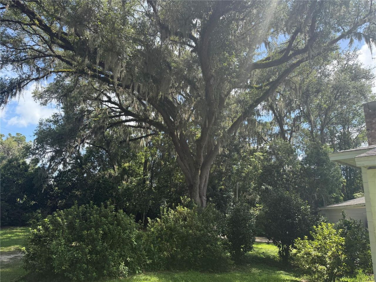 298 N Court Street , Bronson, FL 32621 Photo