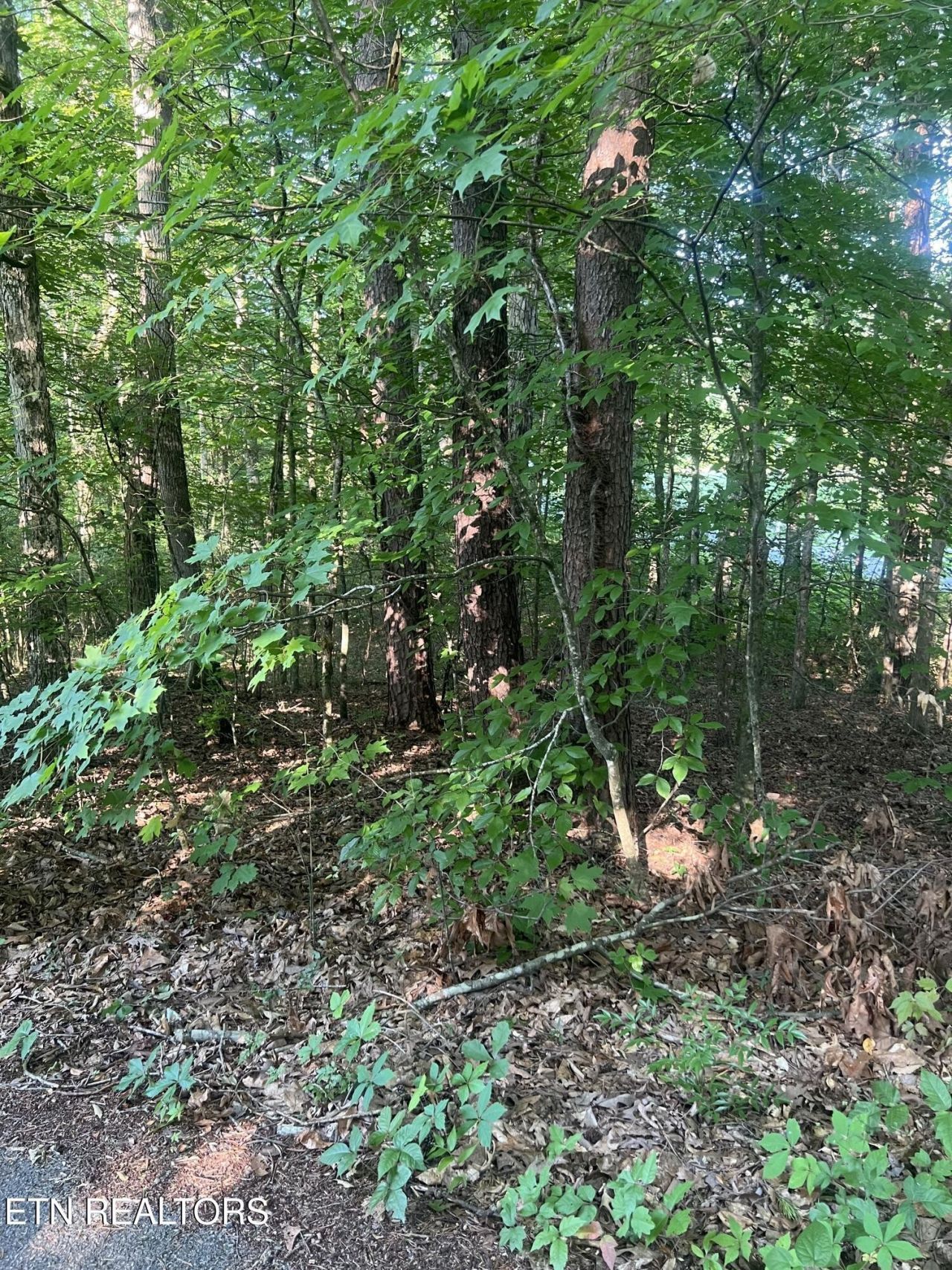 12308 Yarnell Rd , Lot #1, Knoxville, TN 37932 Main Photo