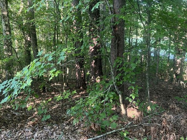 12308 Yarnell Rd , Unit 1, Knoxville, TN 37932