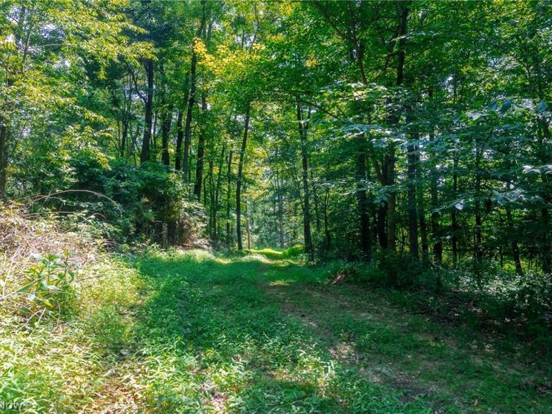 31800 Chestnut Ridge Road, Danville, OH 43050 Photo 10