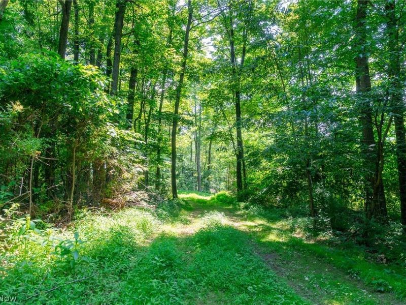 31800 Chestnut Ridge Road, Danville, OH 43050 Photo 13