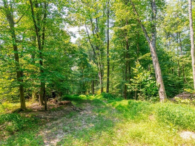 31800 Chestnut Ridge Road, Danville, OH 43050 Photo 15