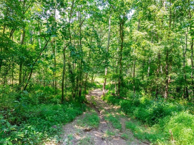 31800 Chestnut Ridge Road, Danville, OH 43050 Photo 17