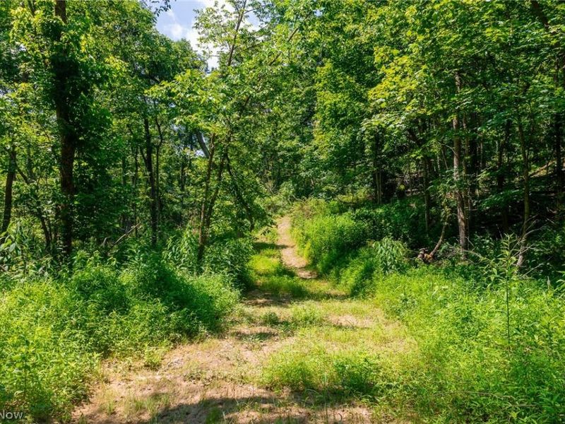 31800 Chestnut Ridge Road, Danville, OH 43050 Photo 18