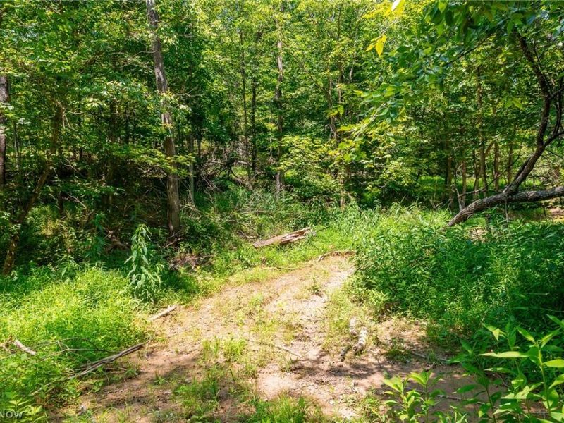 31800 Chestnut Ridge Road, Danville, OH 43050 Photo 19