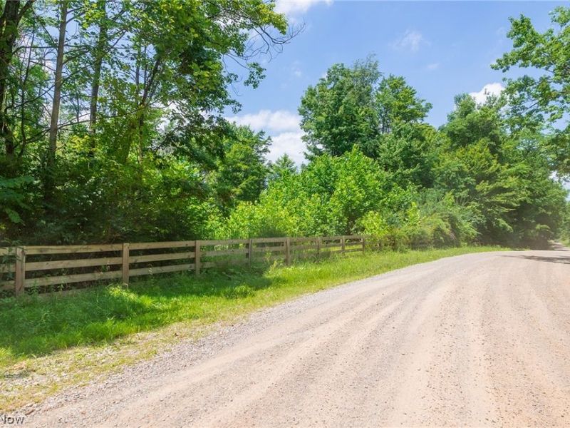 31800 Chestnut Ridge Road, Danville, OH 43050 Photo 25