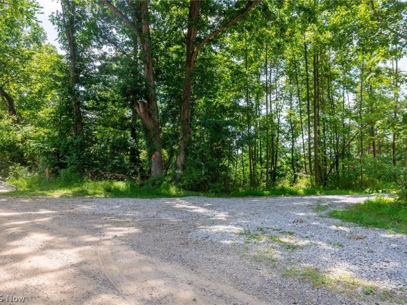 31800 Chestnut Ridge Road, Danville, OH 43050 Photo 26