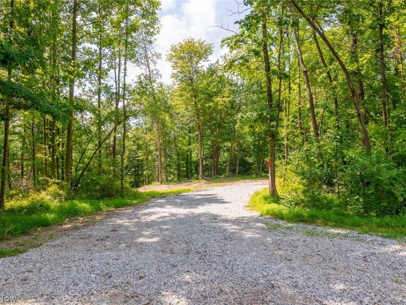 31800 Chestnut Ridge Road, Danville, OH 43050 Photo 27