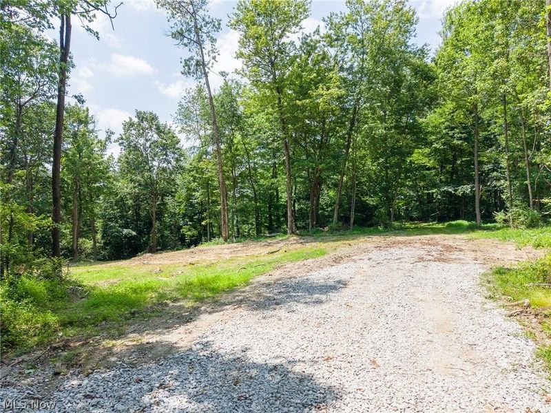 31800 Chestnut Ridge Road, Danville, OH 43050 Photo 28