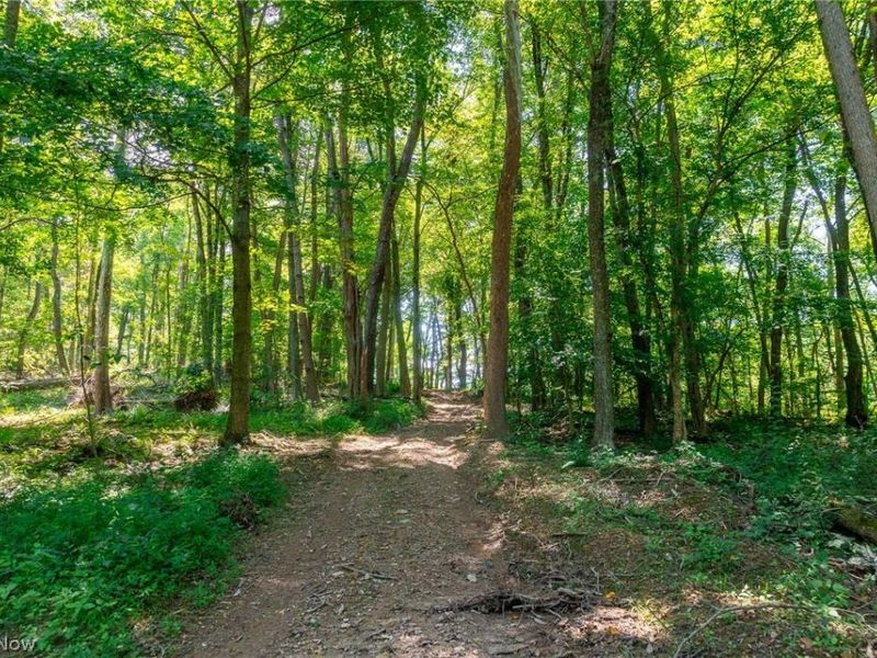 31800 Chestnut Ridge Road, Danville, OH 43050 Photo 31
