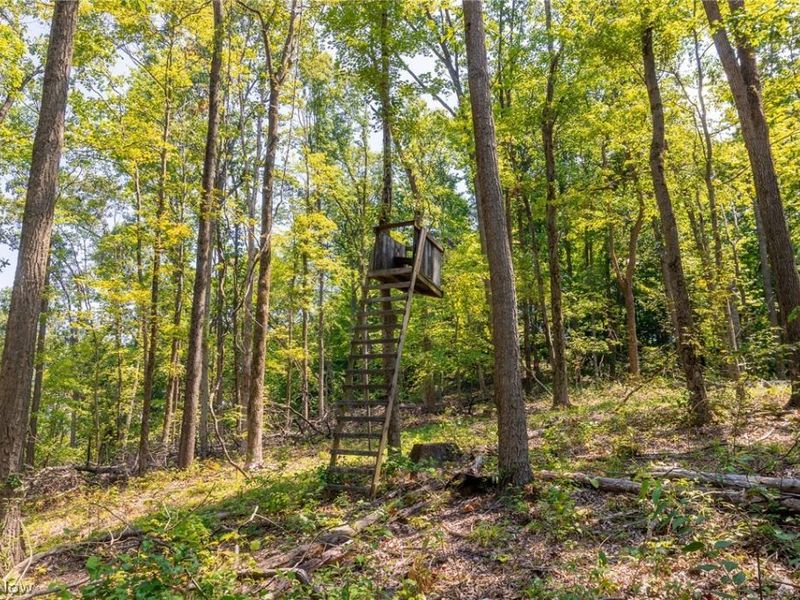 31800 Chestnut Ridge Road, Danville, OH 43050 Photo 37