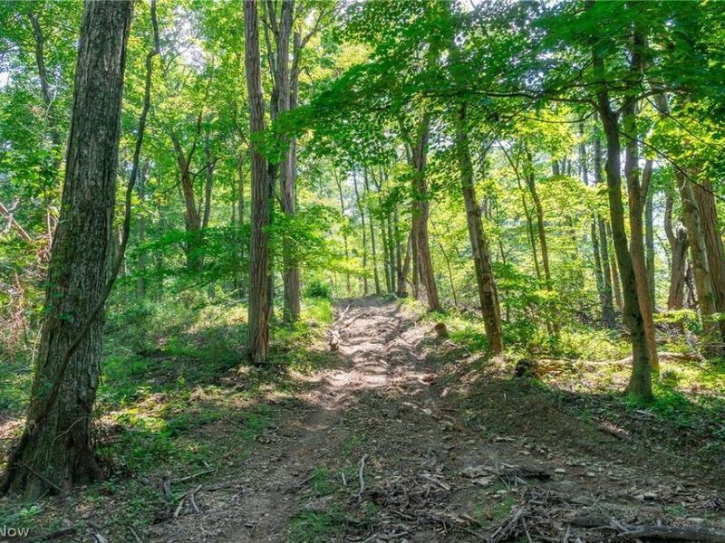 31800 Chestnut Ridge Road, Unit 2, Danville, OH 43050 Photo 3