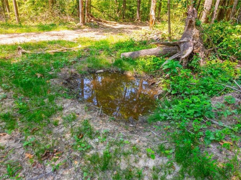 31800 Chestnut Ridge Road, Unit 2, Danville, OH 43050 Photo 6