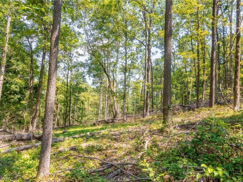 31800 Chestnut Ridge Road, Unit 2, Danville, OH 43050 Photo 9