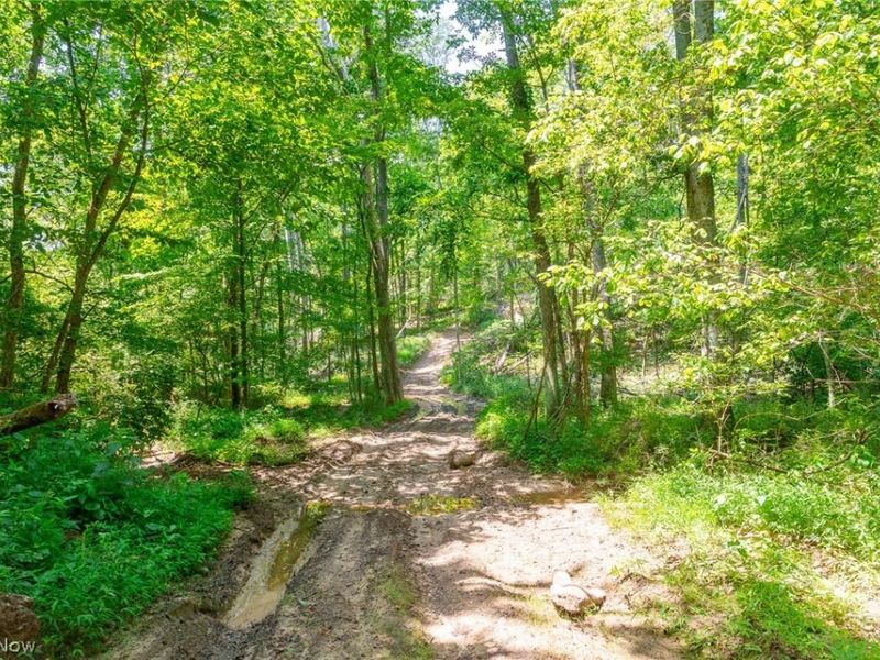 31800 Chestnut Ridge Road, Unit 3, Danville, OH 43050 Photo 4