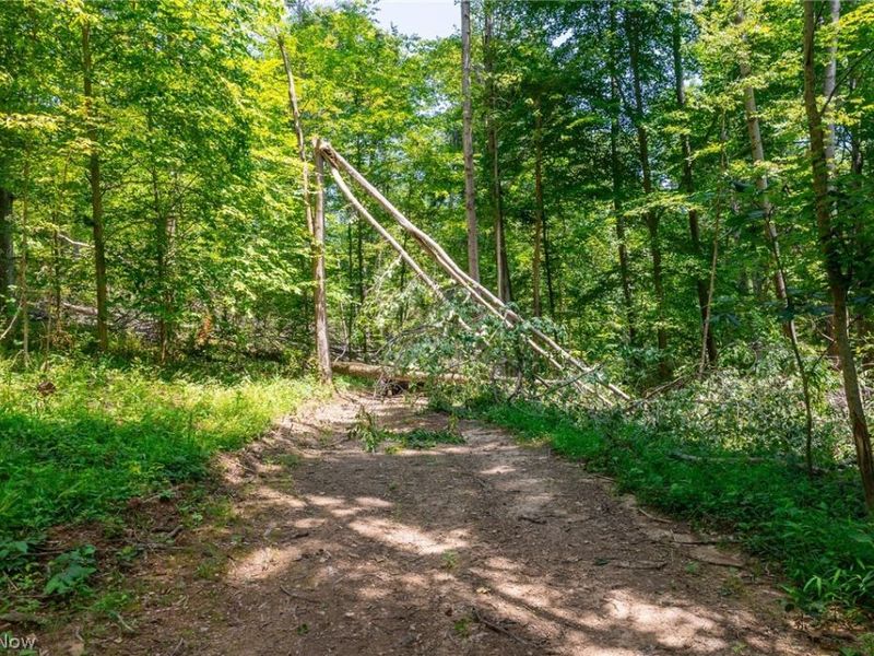 31800 Chestnut Ridge Road, Unit 3, Danville, OH 43050 Photo 6