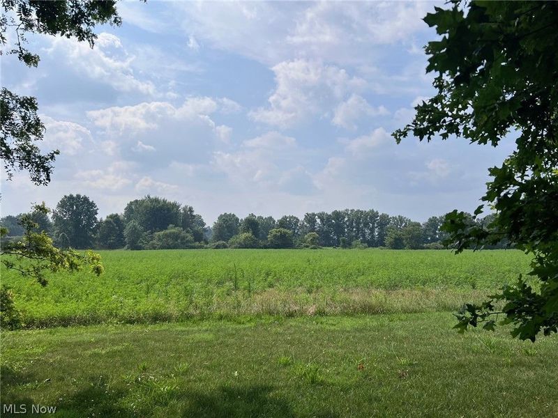 36143 Jason Drive , Grafton, OH 44044 Photo 5