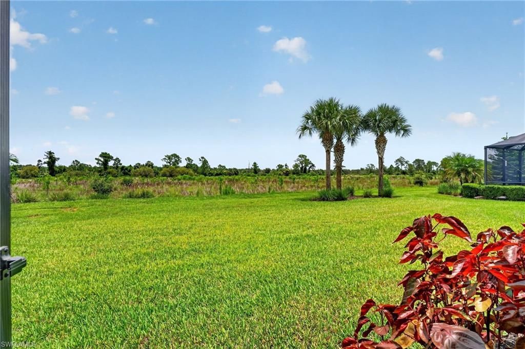 17624 Kinzie Ln, Estero, FL 33928 Photo