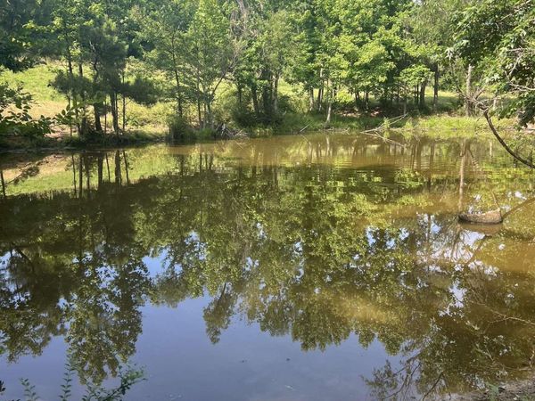 xx Mt View , Glenwood, AR 71943