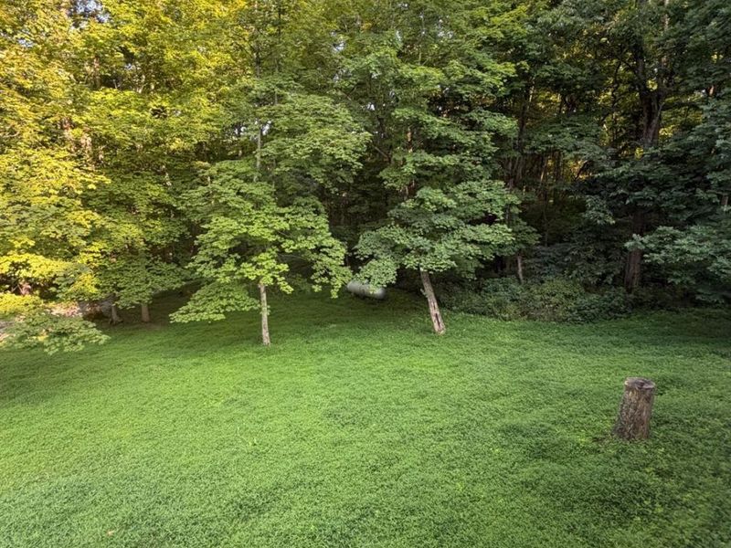 1702 Robinson Hollow Road, Liberty Township, OH 45693 Photo 4