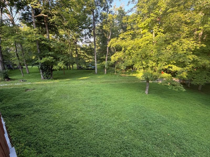 1702 Robinson Hollow Road, Liberty Township, OH 45693 Photo 6