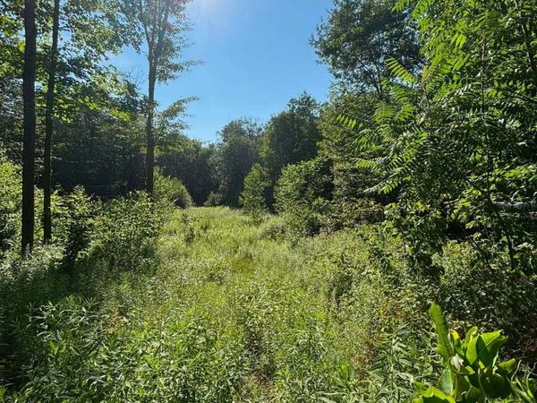 745 Marion Street , Forest City, PA 18421