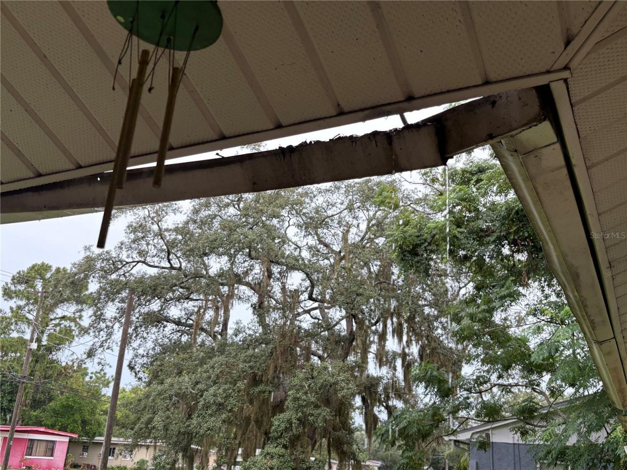 7121 N 50th Street, Tampa, FL 33617 Photo