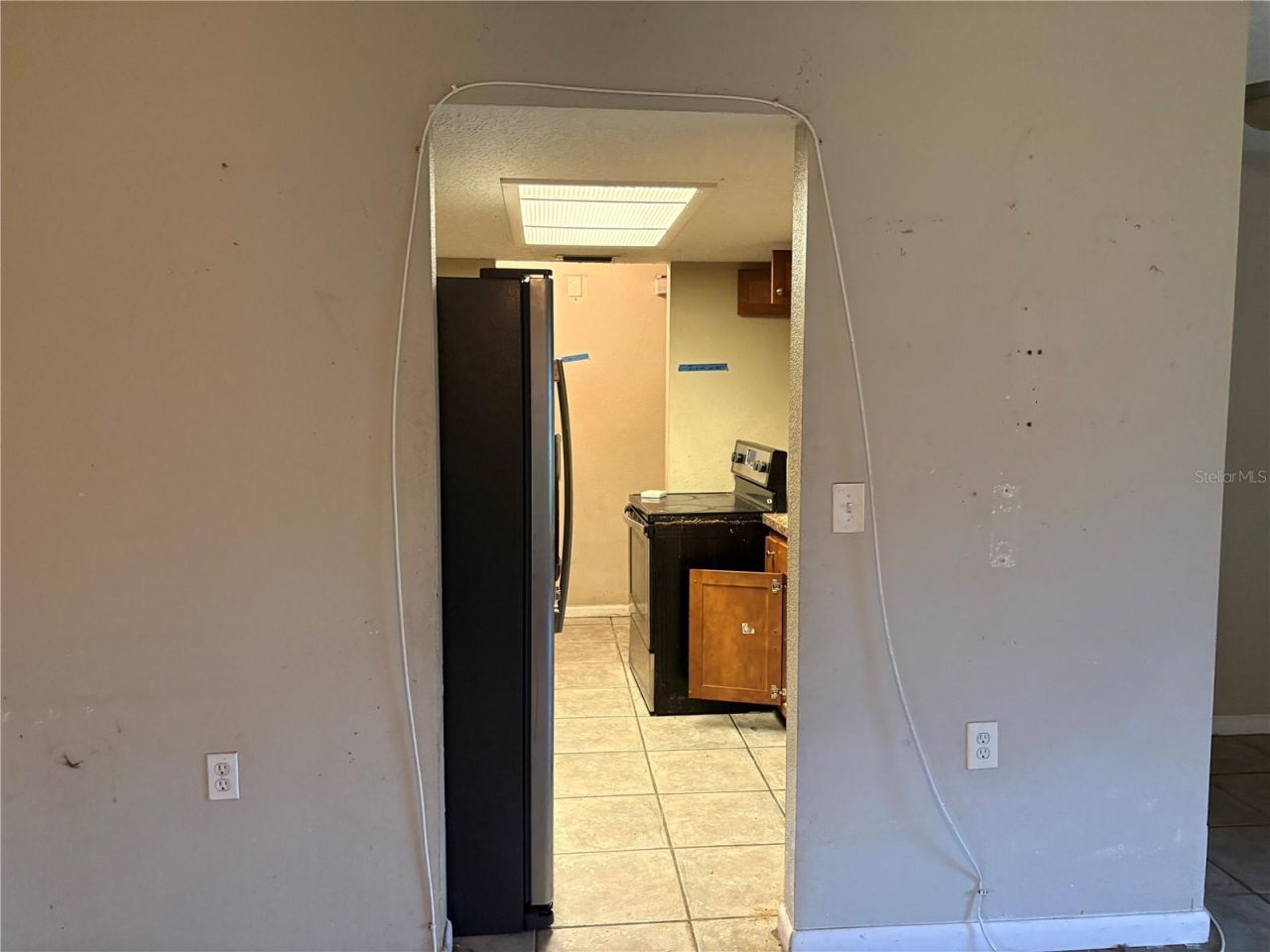 7121 N 50th Street, Tampa, FL 33617 Photo