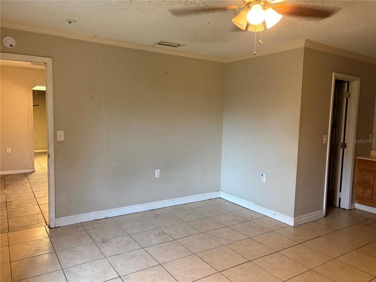 7121 N 50th Street, Tampa, FL 33617 Photo