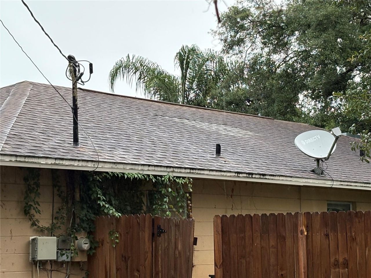 7121 N 50th Street, Tampa, FL 33617 Photo