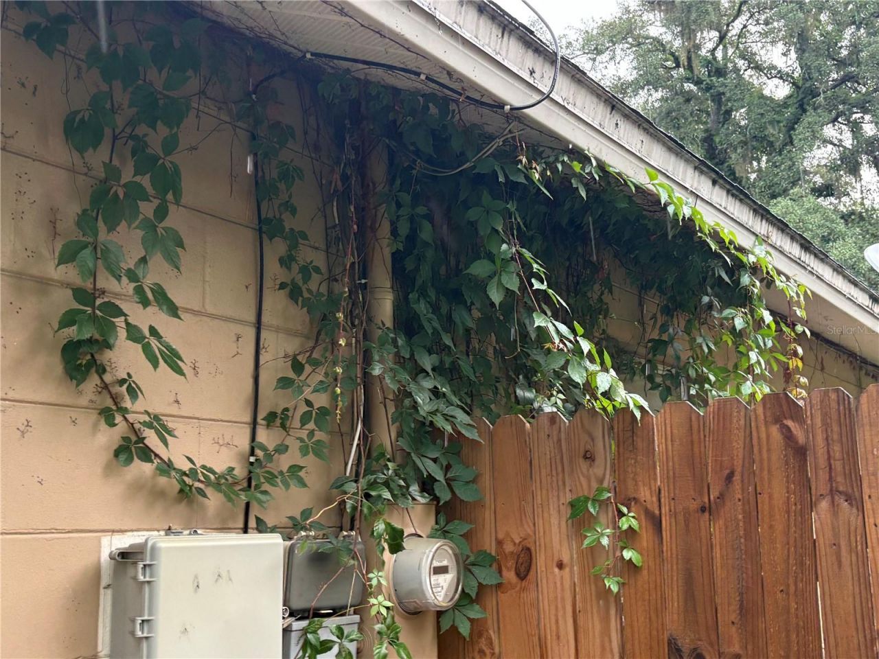 7121 N 50th Street, Tampa, FL 33617 Photo