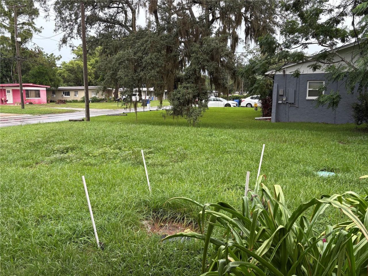 7121 N 50th Street, Tampa, FL 33617 Photo
