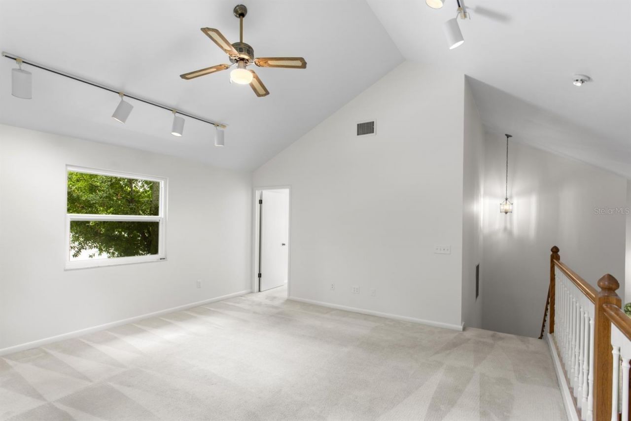 3617 W Tacon Street, Tampa, FL 33629 Photo
