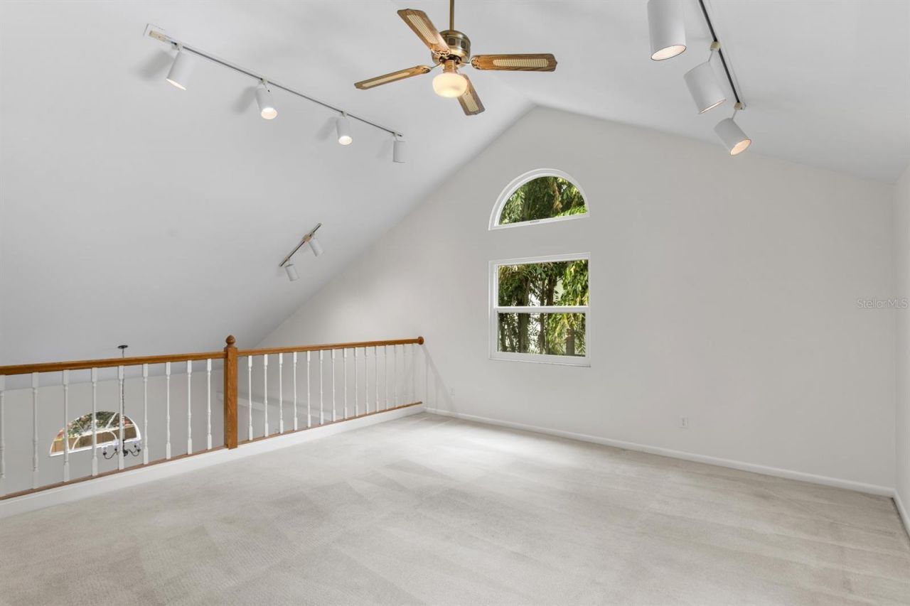 3617 W Tacon Street, Tampa, FL 33629 Photo