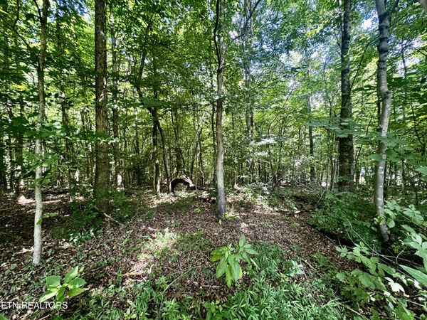 0 Greenwell Rd, Knoxville, TN 37938