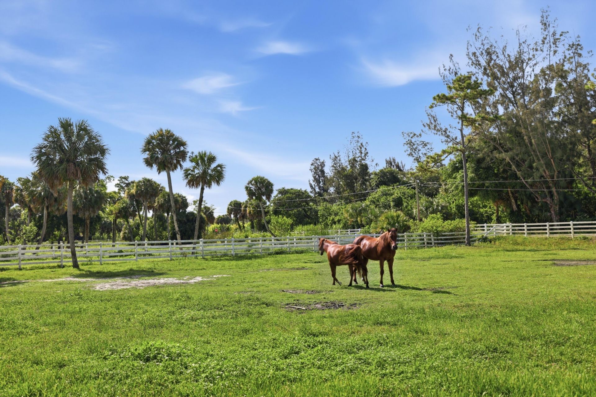 14095 Biddex Road, Loxahatchee Groves, FL 33470 Photo