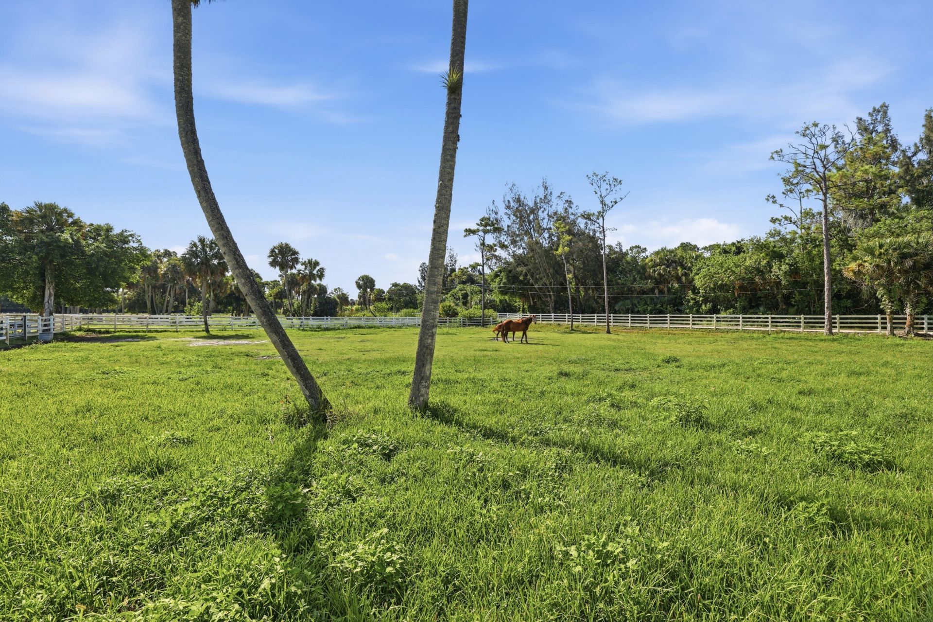 14095 Biddex Road, Loxahatchee Groves, FL 33470 Photo