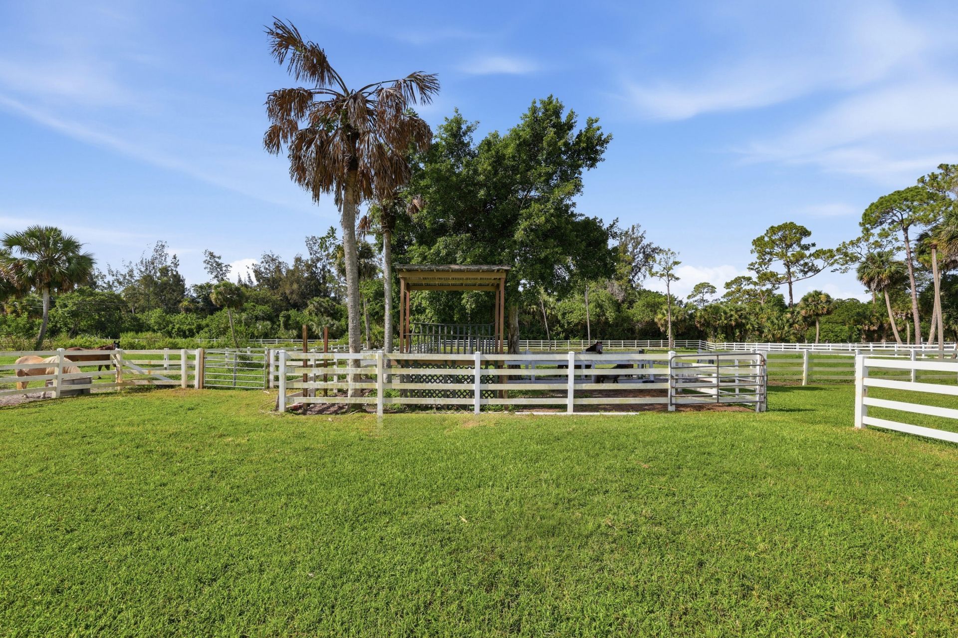 14095 Biddex Road, Loxahatchee Groves, FL 33470 Photo