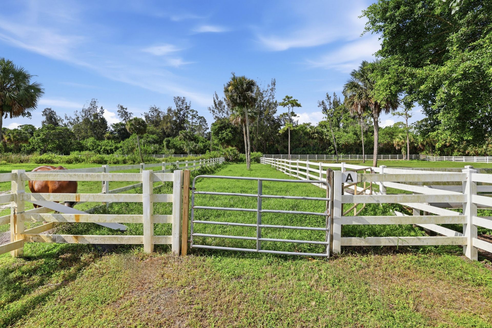 14095 Biddex Road, Loxahatchee Groves, FL 33470 Photo