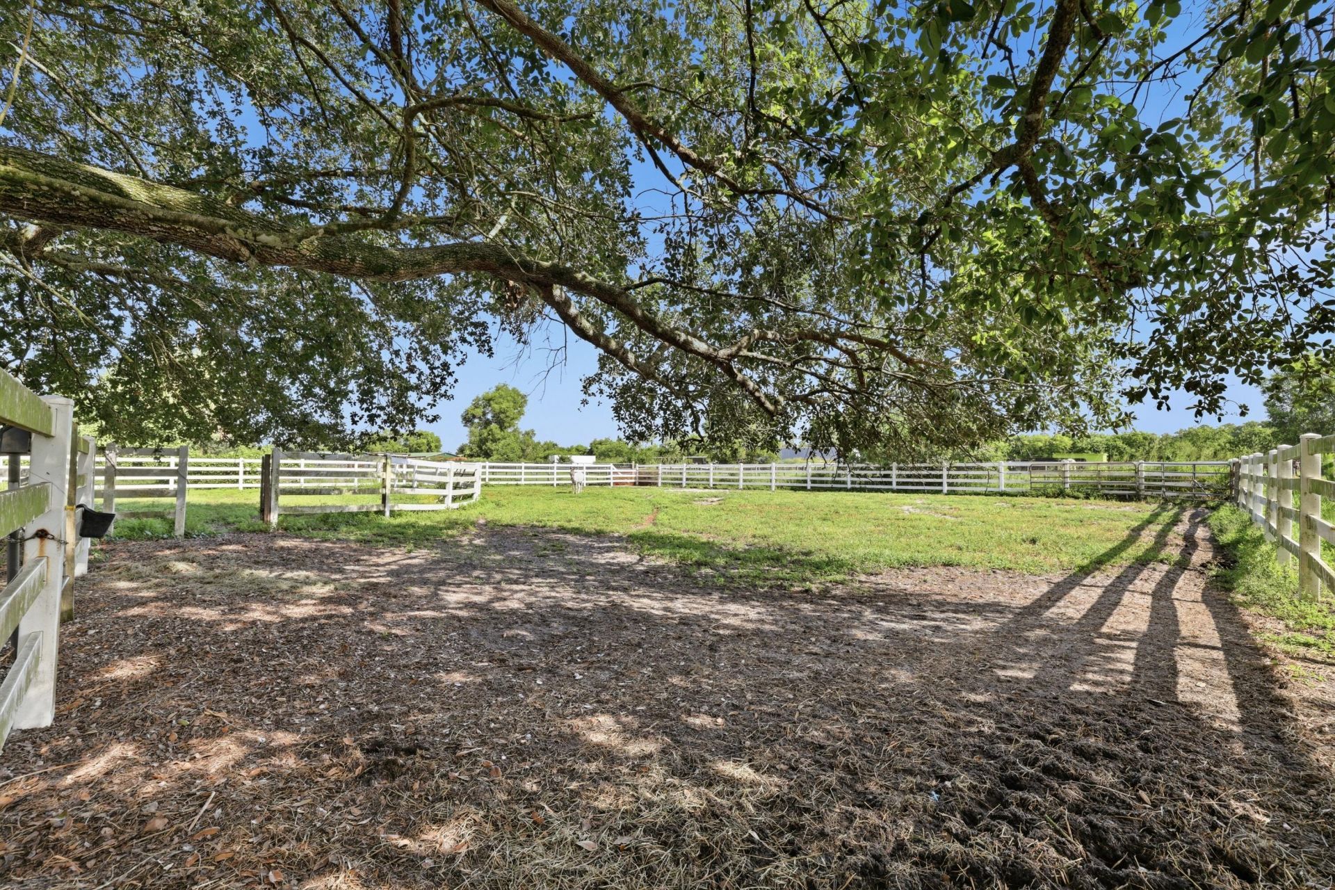 14095 Biddex Road, Loxahatchee Groves, FL 33470 Photo