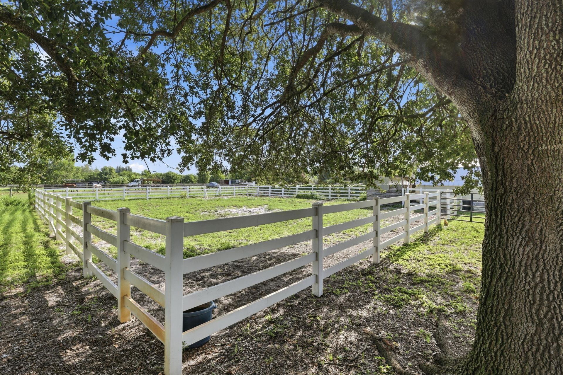 14095 Biddex Road, Loxahatchee Groves, FL 33470 Photo