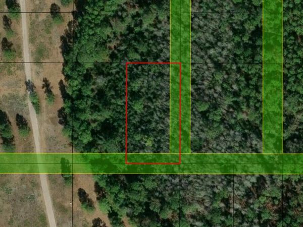 0 Poyner Road, Polk City, FL 33868