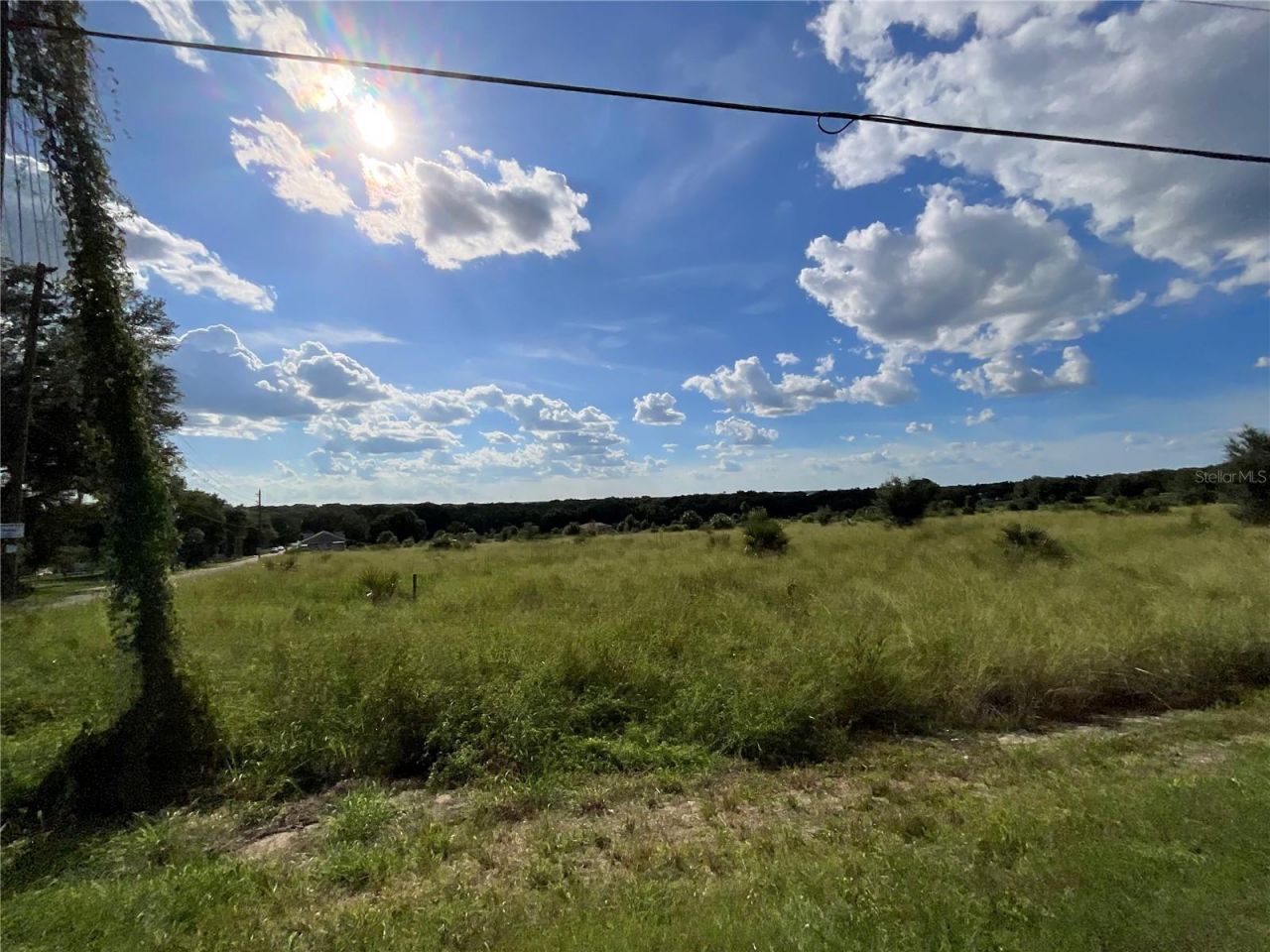 Sunset Harbor Rd, Weirsdale, FL 32195 Photo
