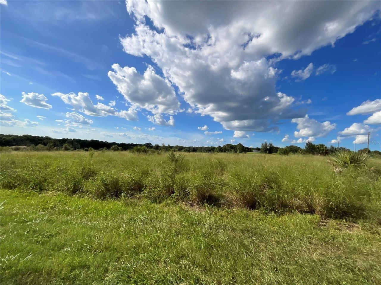 Sunset Harbor Rd, Weirsdale, FL 32195 Photo