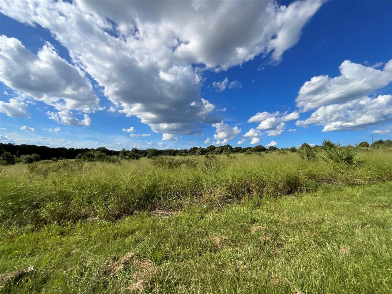 Sunset Harbor Rd, Weirsdale, FL 32195 Photo