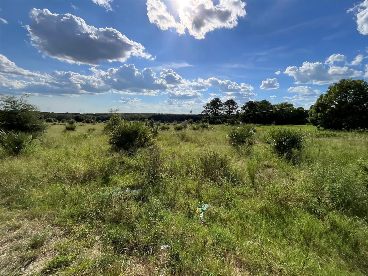 Sunset Harbor Rd, Weirsdale, FL 32195 Photo